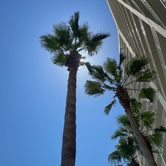 Meet your Posher, Adrienne - Picture 1 of 1